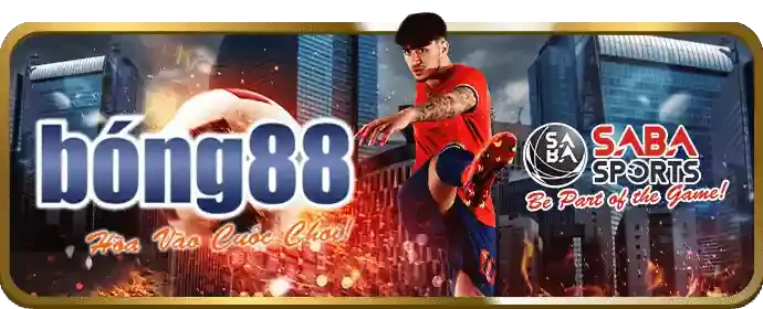 Chiến lược cá cược nâng cao MM8833